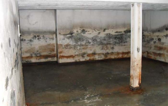 Water Damage in Your Idaho Basement: Step By Step Guide