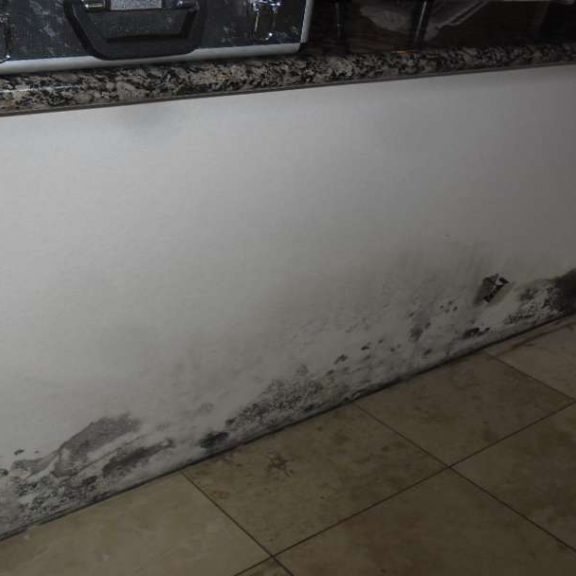 mold remediation