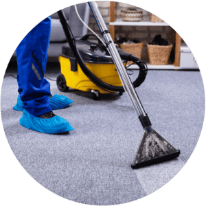 carpet cleaning services