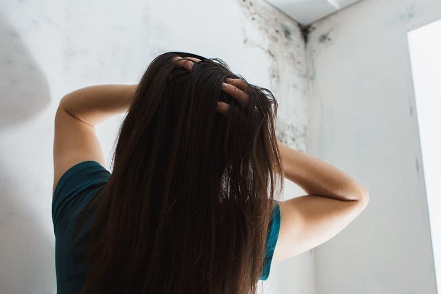 Mold-Specialist-Near-Me-blog-size Mold Specialist