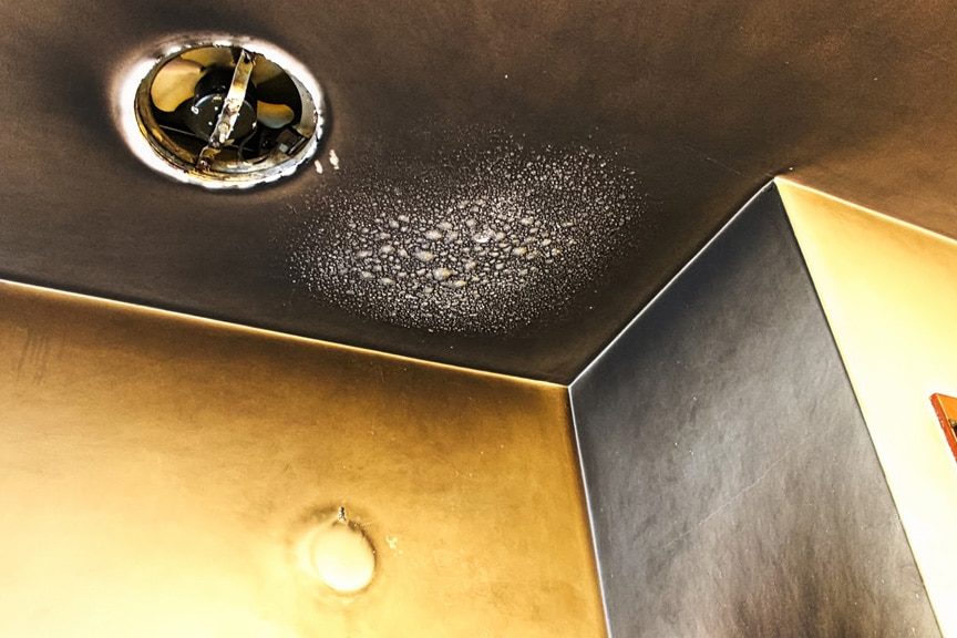 fire clean up companies