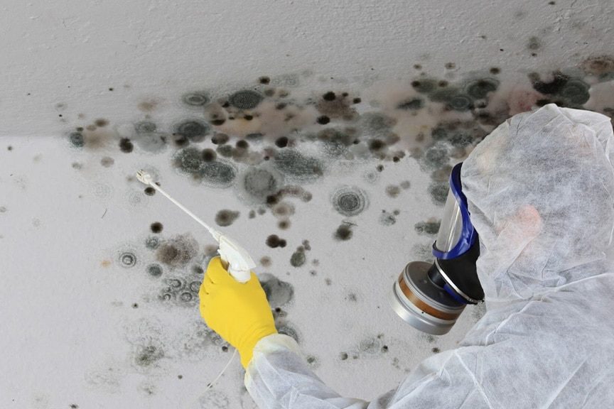 Mann-Profi-in-Atemschutzmaske-1-blog-size mold remediation services in Idaho