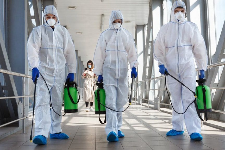 CTR mold remediation