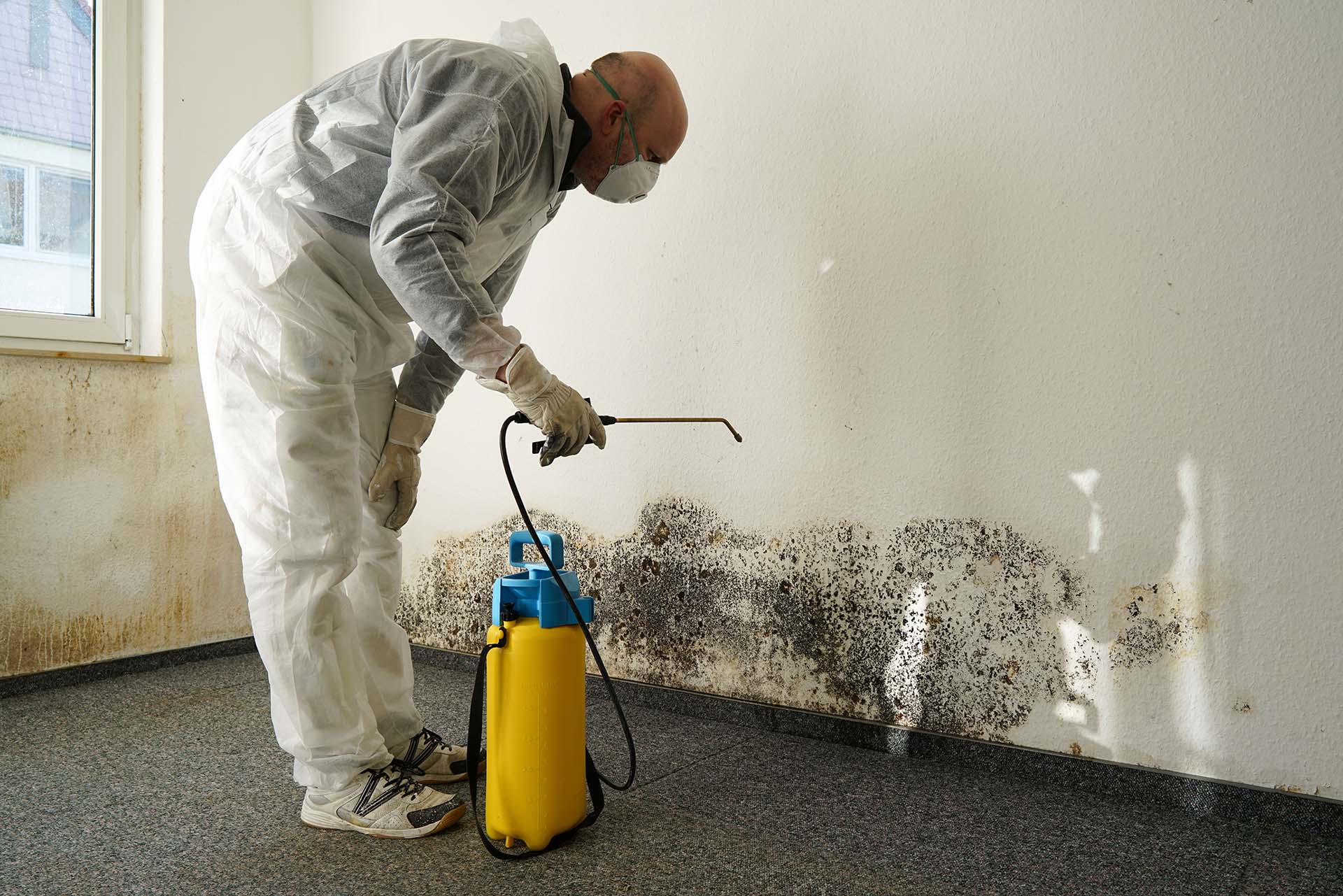 Mold removal