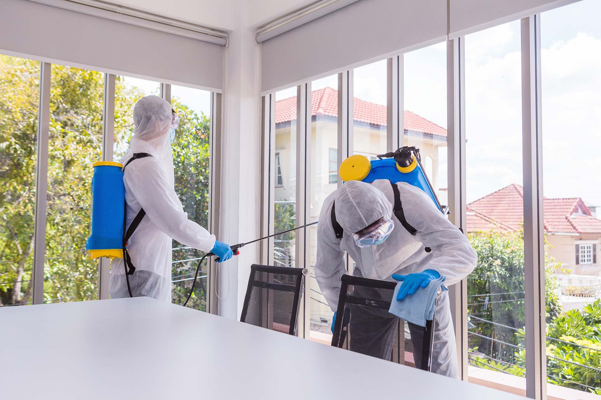 Structure Cleaning services