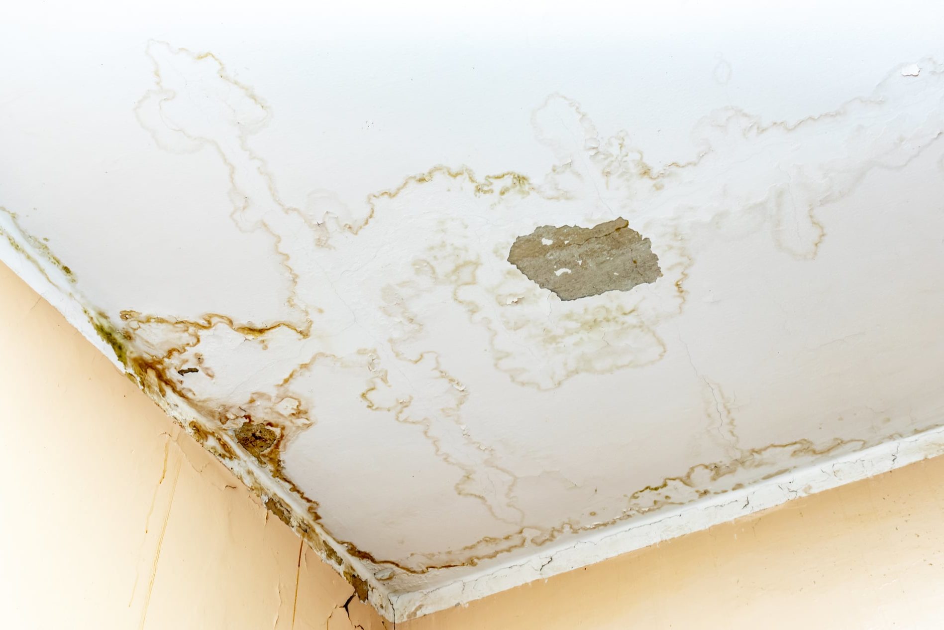 houseleak Water leak in home