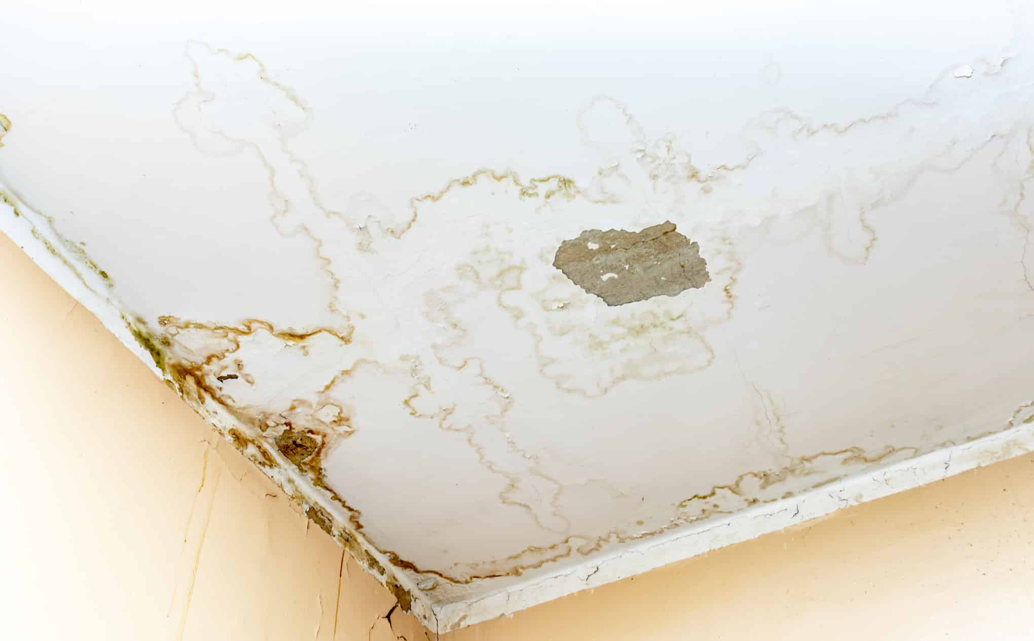 How To Find a Water Leak In Your Home CTR