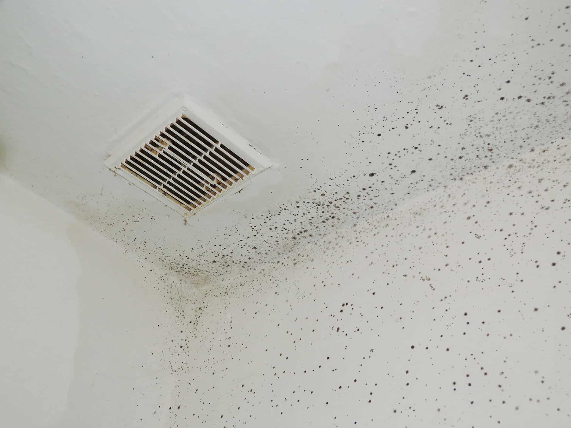 Vent with mold growth