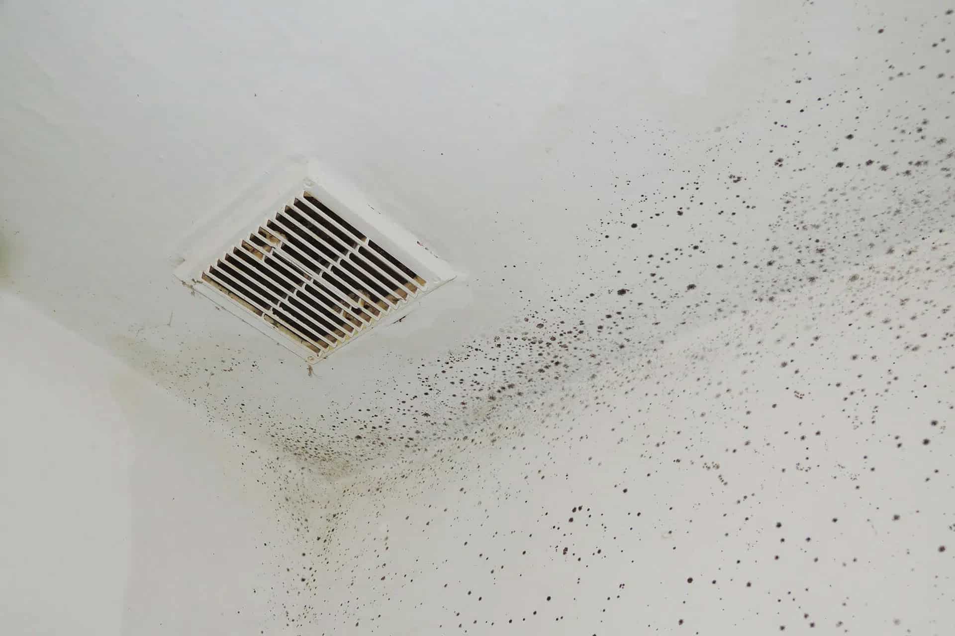 Vent with mold growth