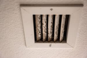 mold on air vent