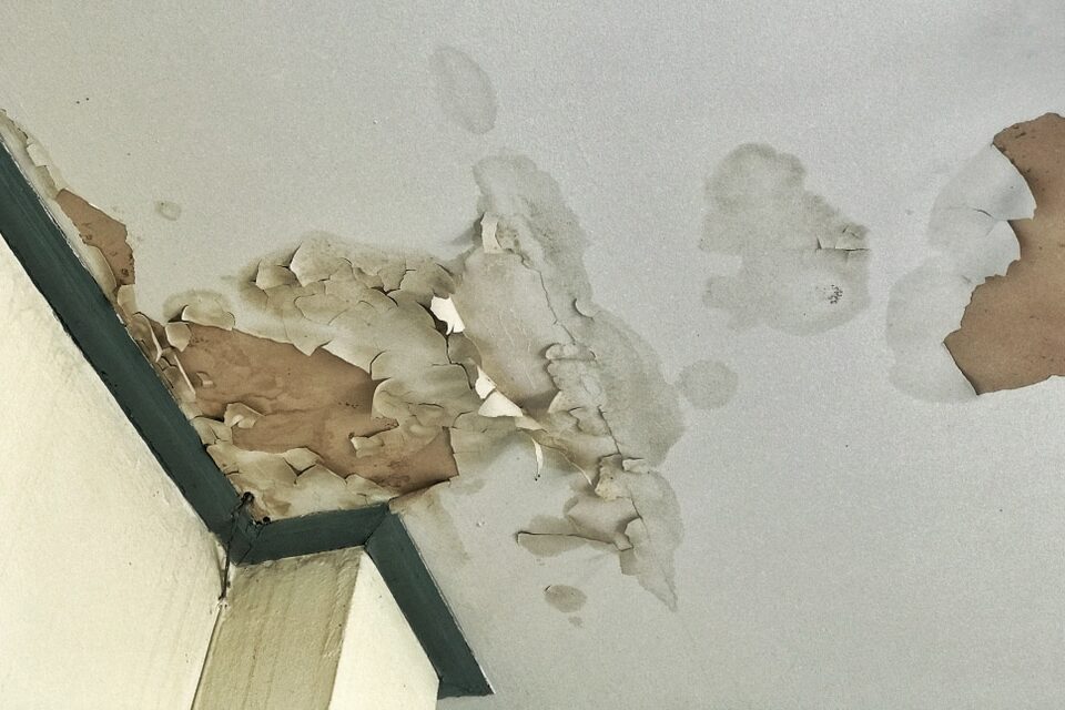water damaged dry wall and ceiling