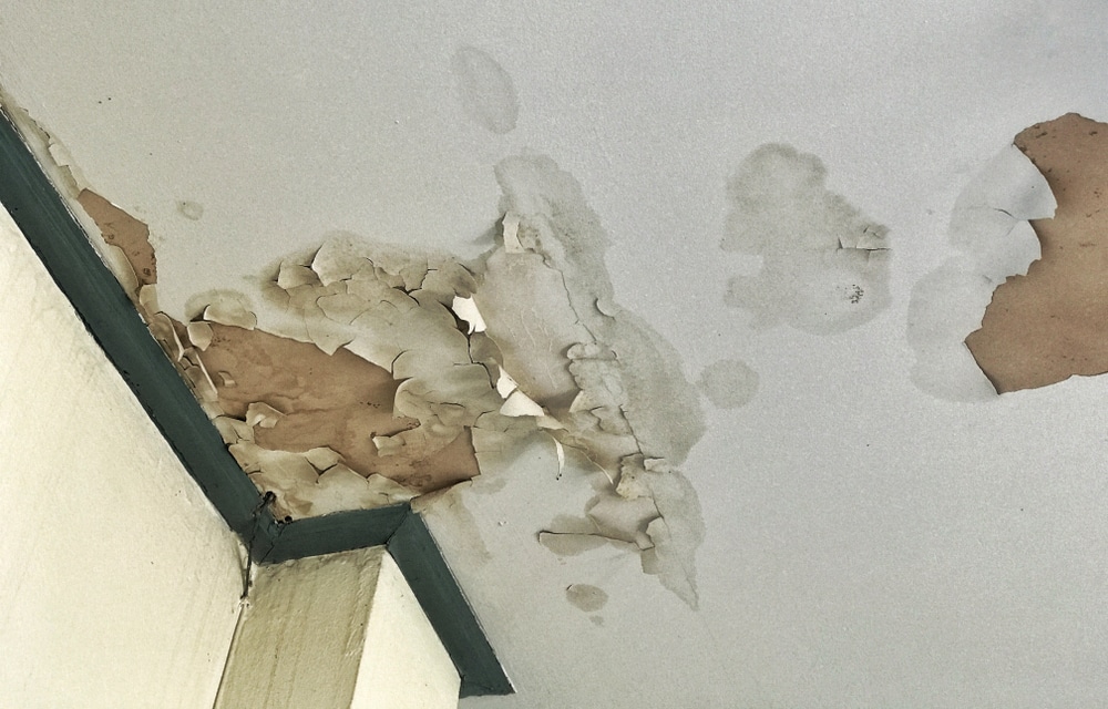 water damaged dry wall and ceiling