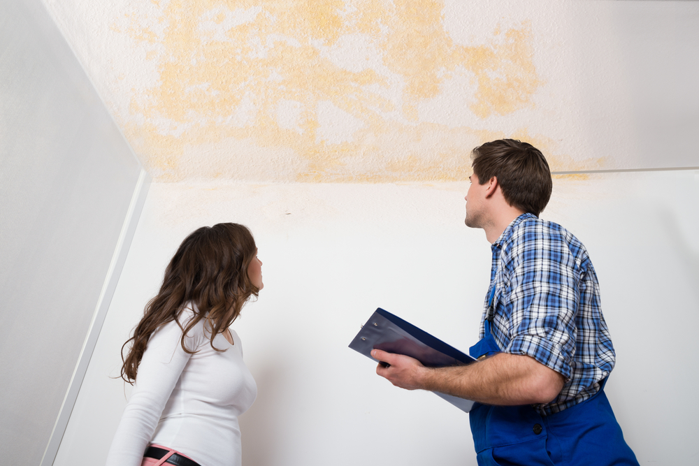 Water restoration specialist assessing if ceiling water damage is new or old.