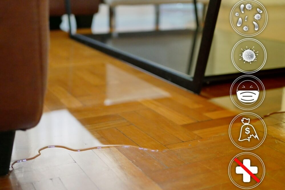hardwood floor water damage