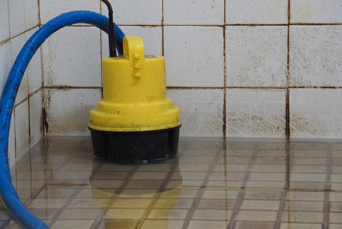 water removal services