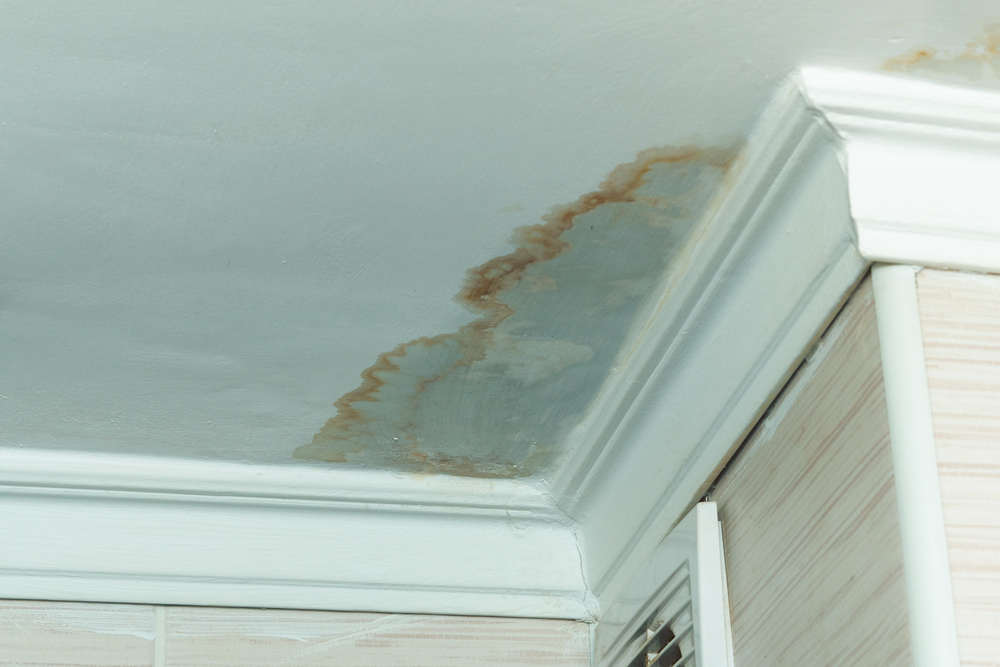 water stain on ceiling