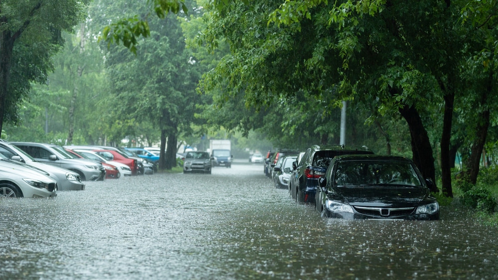 flood watch