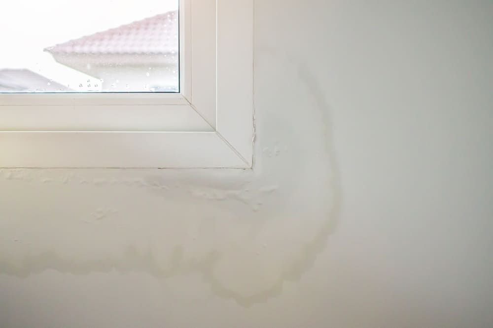spotting water damage in your home