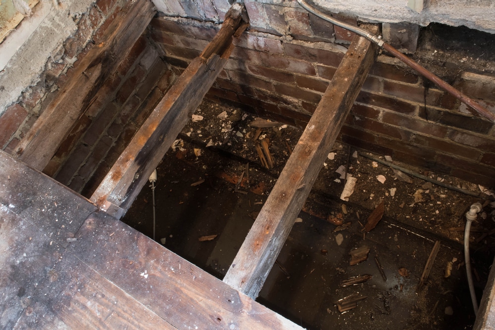 Floor joists with water damage