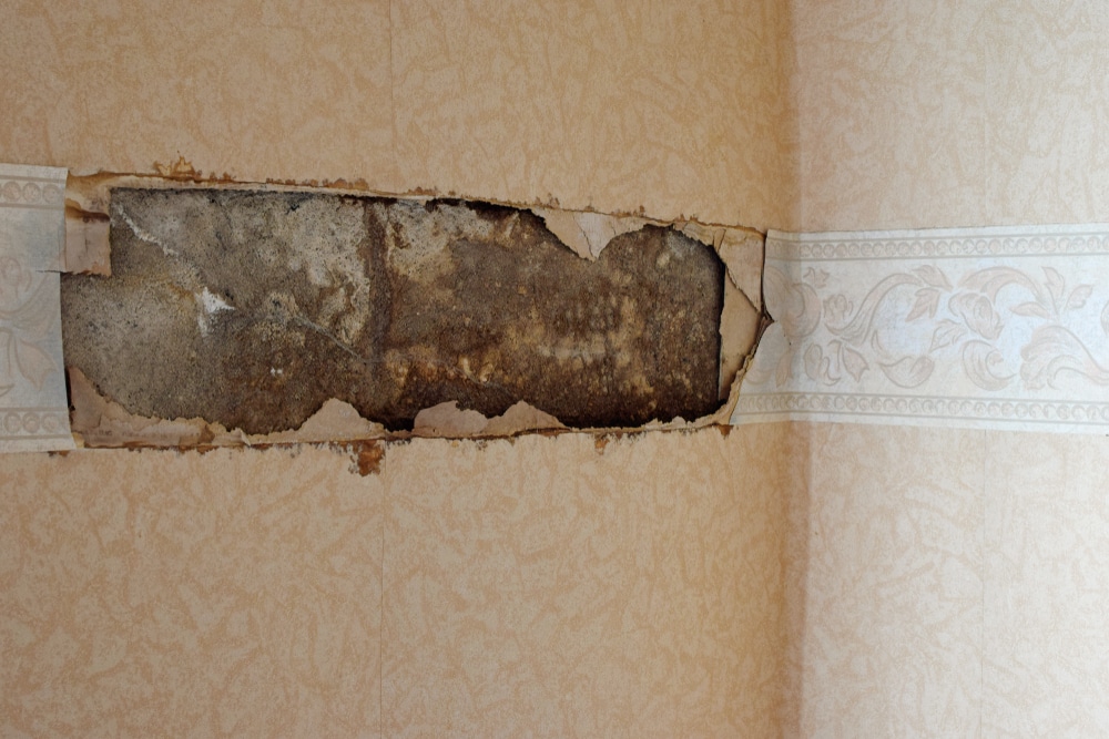 Water damage from chimney