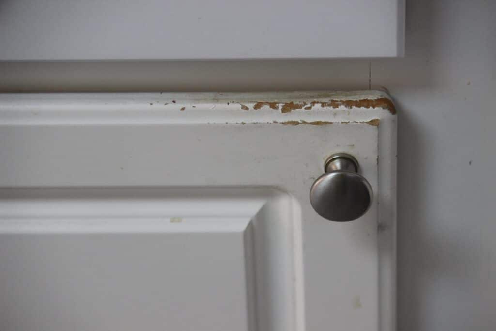 Furniture Water Damage