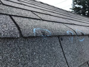 hail damage on roof