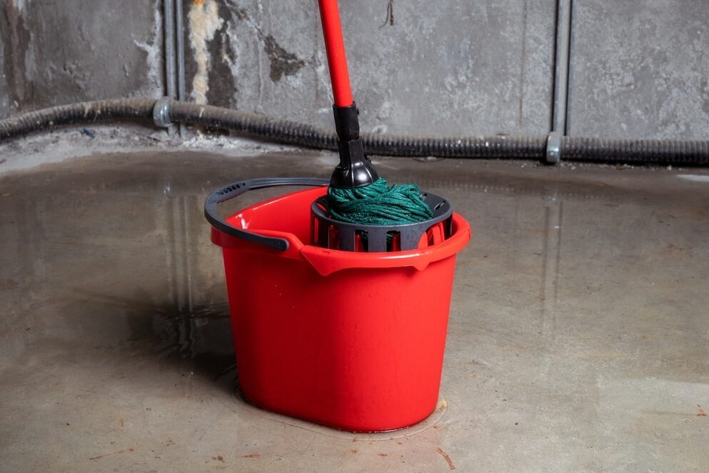Bucket,With,Mob,In,Flooded,Basement,Or,Electrical,Room.,Cleaning Flood cleanup