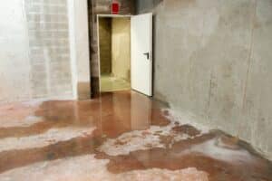 Flooded basement from backed up floor drain
