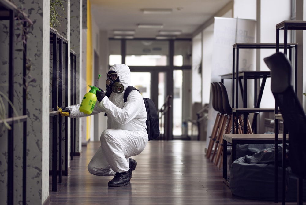 Commercial mold remediation