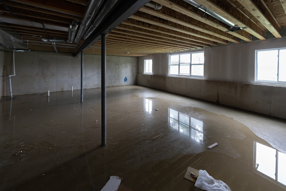 Categories of water damage