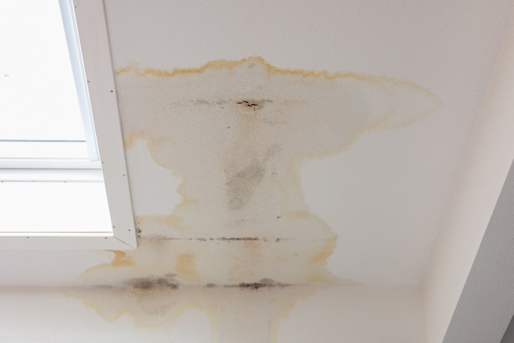 Water stains