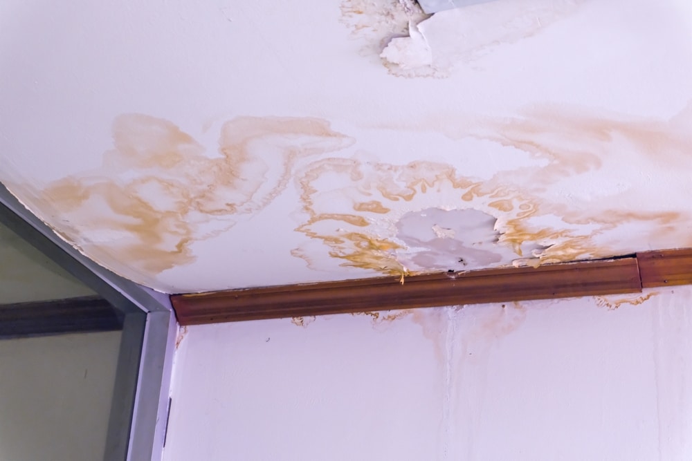 peeling paint