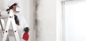 Mold removal